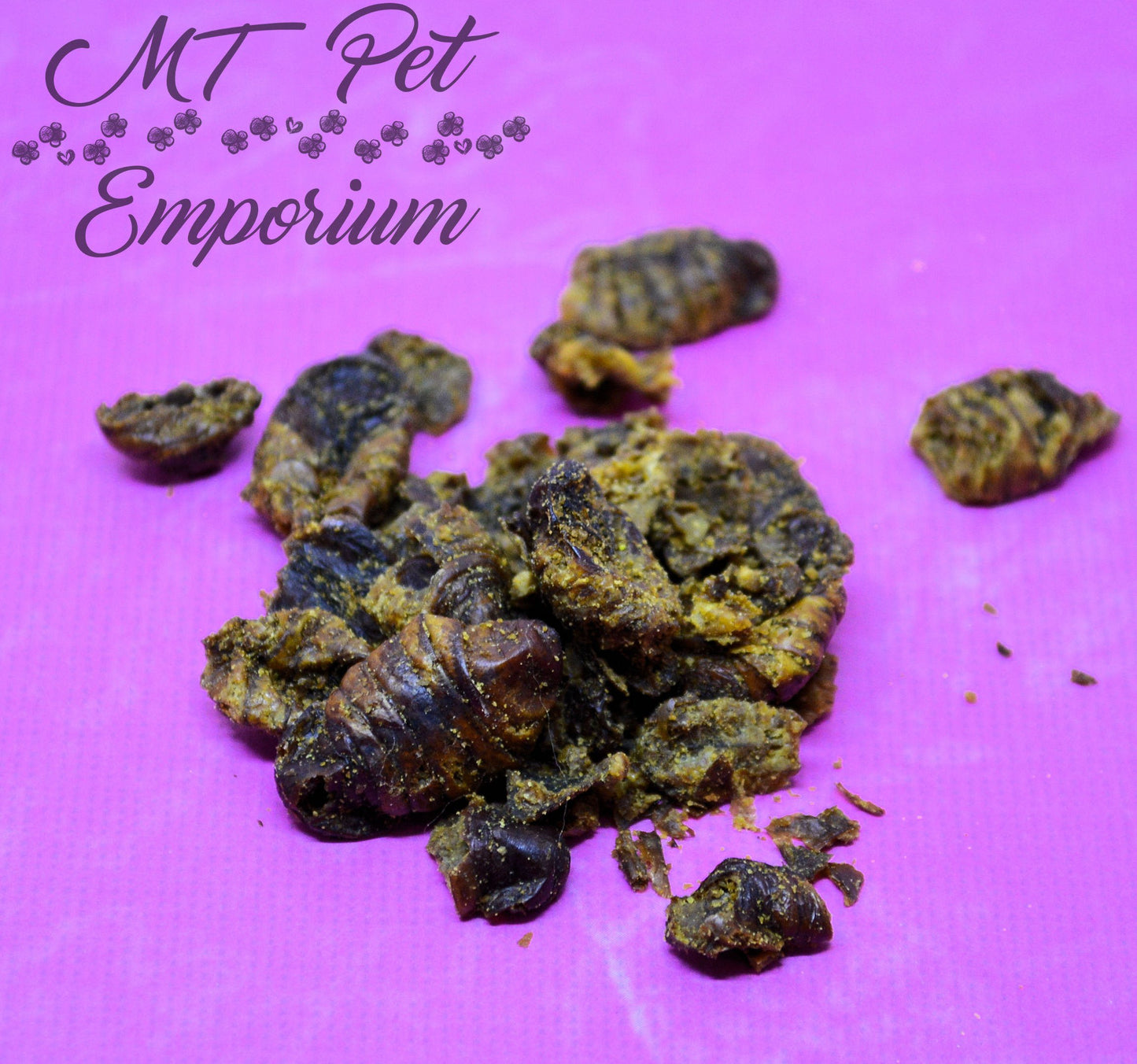 Silk Worm Pupae - Hermit Crab Food