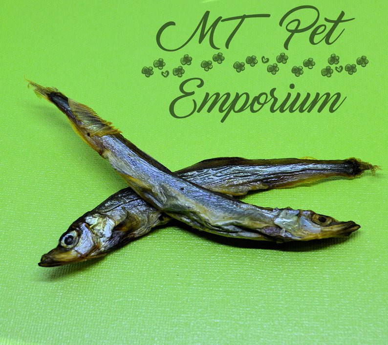 Capelin Whole Fish - Hermit Crab Food