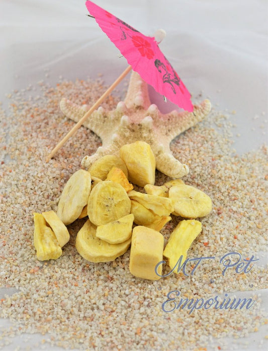 Tropical Blend - Hermit Crab Food